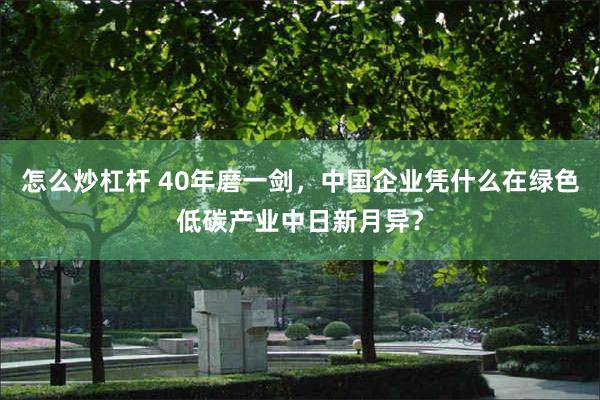 怎么炒杠杆 40年磨一剑，中国企业凭什么在绿色低碳产业中日新月异？