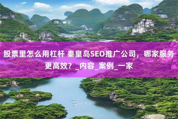 股票里怎么用杠杆 秦皇岛SEO推广公司，哪家服务更高效？_内容_案例_一家