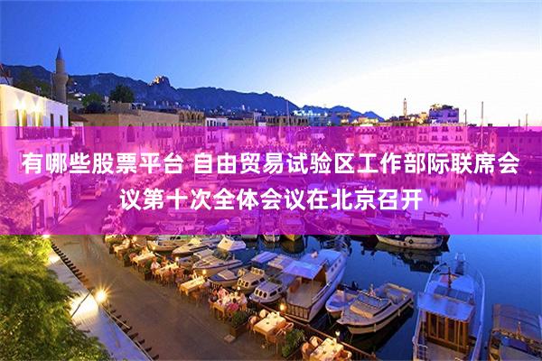 有哪些股票平台 自由贸易试验区工作部际联席会议第十次全体会议在北京召开