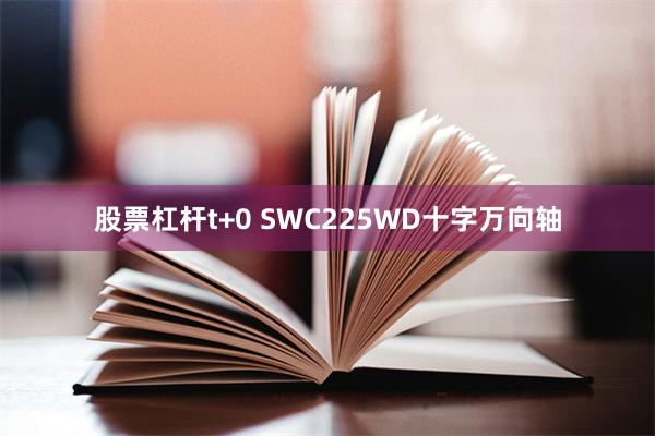 股票杠杆t+0 SWC225WD十字万向轴